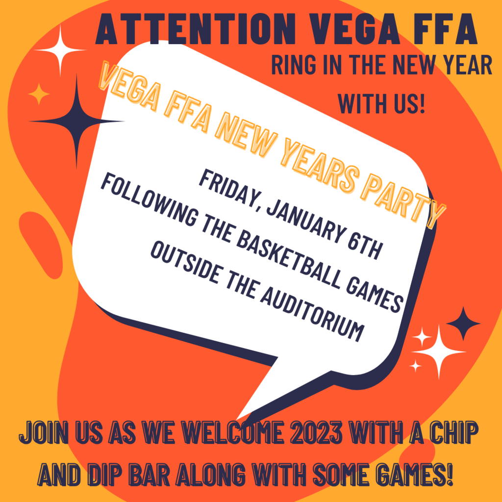FFA New Years Eve Party